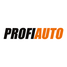 logo profi auto